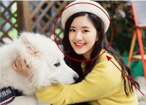 赵露思微博,展现清新魅力